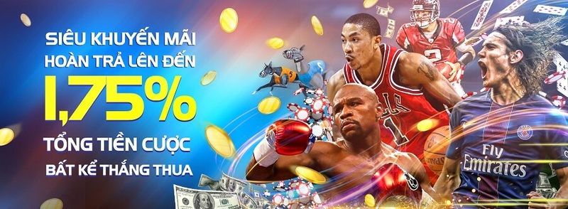 Hoàn trả 1,75% mỗi ngày